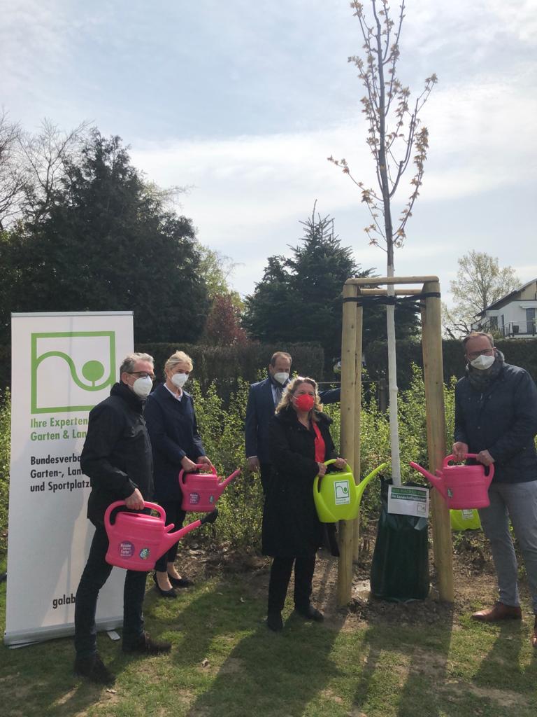 „Grün in die Stadt“ und Bundesumweltministerium fördern Baumpflege-Aktion
