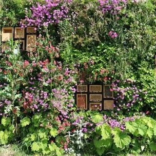 Neu im Blog: Klimaangepasstes Bauen