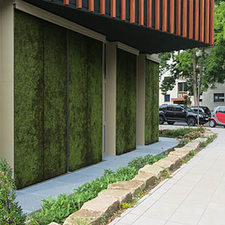 Bewässerungsstrategien in Städten erfordern ein Umdenken!