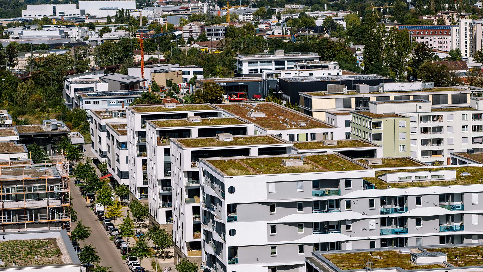 Der Bundesverband Garten Landschaft und Sportplatzbau setzt sich für den Bau von Gründächern ein