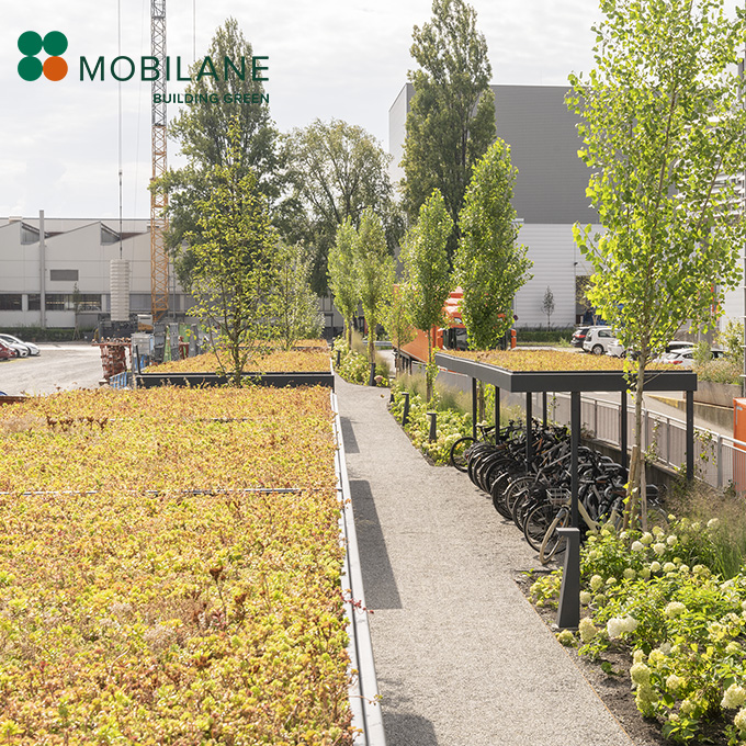 Sponsor Mobilane