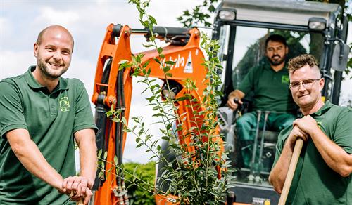 Zahlen, Trends, Perspektiven: GaLaBau-Branchenreport 2026 erschienen