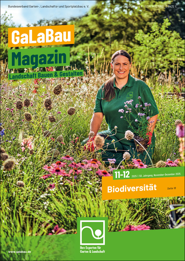 Ausgabe - 11-12/2025